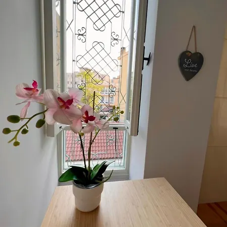 Centre Luxury Renovated