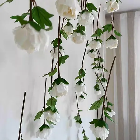 Centre Luxury Renovated *